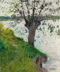 Weide am Fluss; Saule au bord de la rivière, ca. 1891