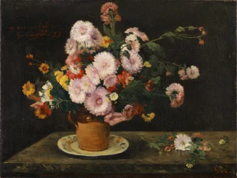 Asternstrauß, 1859