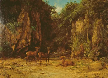 Herde von Rothirschen in der Dämmerung