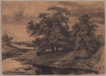 Landschaft mit großen Bäumen