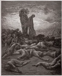 Die Göttliche Komödie (La Divina Commedia), Purgatorio, Gesang 20: Die Seelen der Habgierigen - von Dante Alighieri (1265-1321) - Illustration von Gustave Doré (1832-1883)