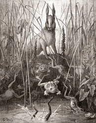 Der Hase und die Frösche, aus einer Ausgabe der Fables de La Fontaine vom späten 19. Jahrhundert