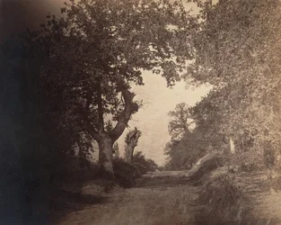 Fontainebleau, sandiger Weg, ca. 1856