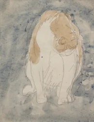 Studie einer Katze, ca. 1910-20