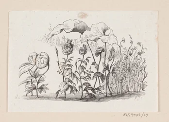Illustration zu „Die Blumen der kleinen Ida“ in H. C. Andersens „Märchen und Geschichten“, Band 1