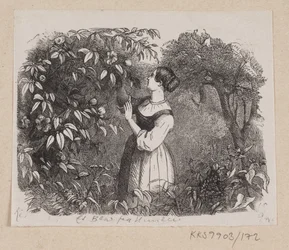 Illustration zu "Ein Blatt vom Himmel" in H.C. Andersen, "Märchen und Geschichten", Band 2