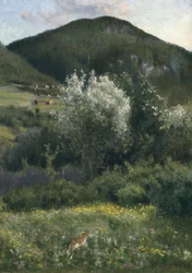 Vogelkirsche
