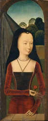 Junge Frau mit Nelke, ca. 1485-90
