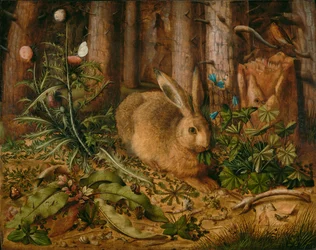 Ein Hase im Wald