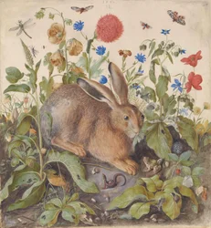 Ein Hase zwischen Pflanzen