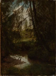 Tannen am Waldbach