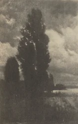 Camera Work: Pappeln und Wolken, 1906
