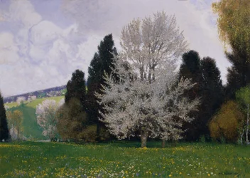 Frühling im Wienerwald