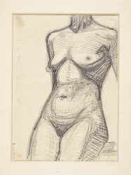 Torso eines weiblichen Modells
