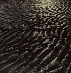 ... der gerippte Meersand, Coleridge