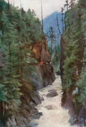 Capilano Canyon, nahe North Vancouver