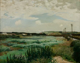 Marazion Marsh