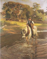 Das Pferd tränken