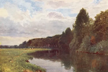 Der Fluss Wey, nahe Ripley