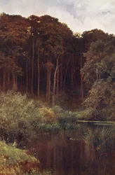 Waldtiefen, Wotton