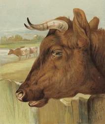 Der Freund des Kinderzimmers (Chromolitho)