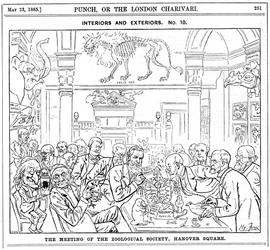 Das Treffen der Royal Zoological Society, Hanover Square, London, 1885