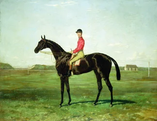Ein Rennpferd mit einem Jockey auf der Rennstrecke in Newmarket