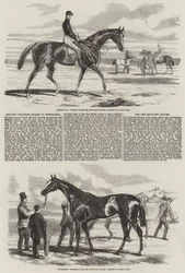 Die Zweitausend-Stakes in Newmarket