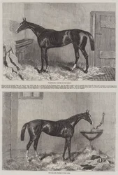 Gewinner des Derbys und der Oaks