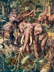 Elefanten zerstören einen Palmenwald