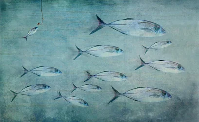 Kleiner Fisch, großer Haken