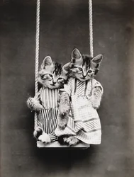 Kätzchen-Serie: Auf einer Schaukel, ca. 1914
