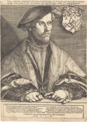 Wilhelm V., Herzog von Jülich, Kleve und Berg