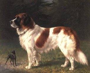 Ein Bernhardiner und ein Zwergpinscher