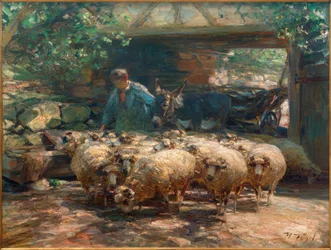 Austrieb der Schafherde