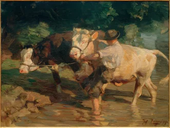 Hell- und Schwarzscheck