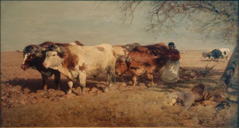 Ochsenviergespann