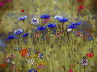 Kornblumenblau