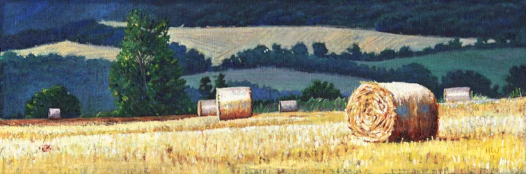 Heuballen am Hang, 2012