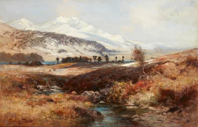 Verschneite Hochlandlandschaft