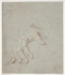 Studie einer Hand