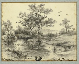 Bäume am Teich