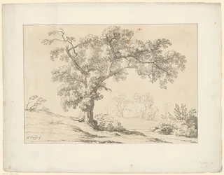 Baum in Landschaft