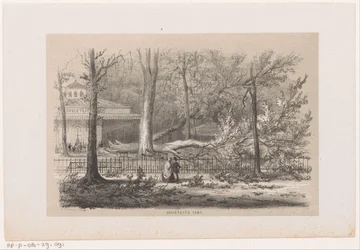 Umgestürzter Baum bei der Gesellschaft, nach dem Sturm vom 28. Mai 1860