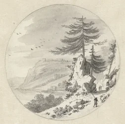Gebirgige Küstenlandschaft mit einer großen Tanne
