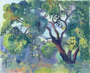 Landschaft in Saint-Tropez