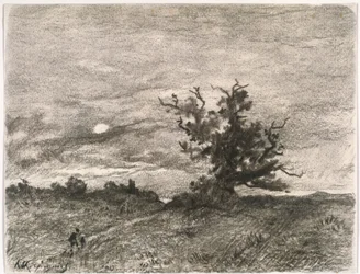 Mondbeschienene Landschaft