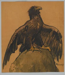 Der Adler