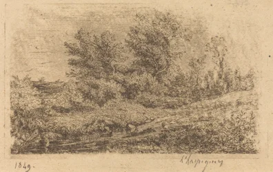 Baumgruppe am Fluss