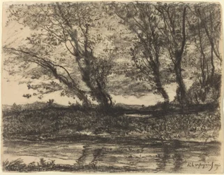 Landschaft